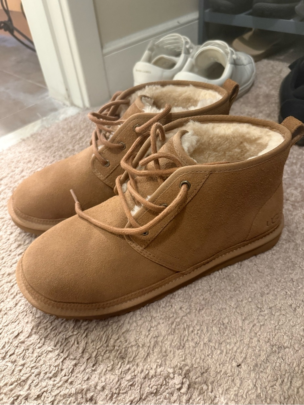 UGG Chestnut Lace-Up Suede Shearling Ankle Boot
